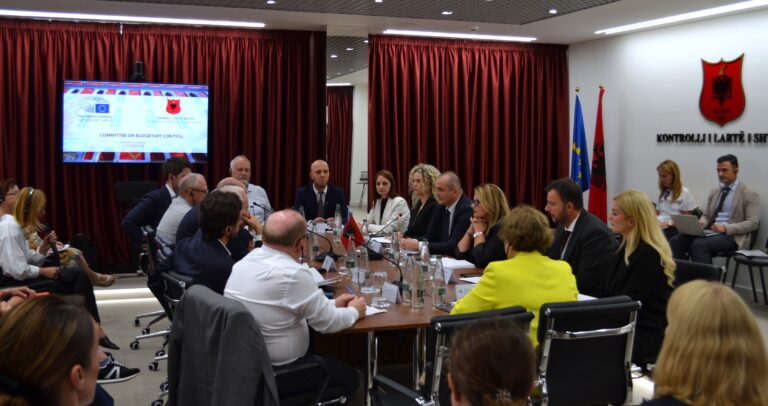 Kontrolli i Larte i Shtetit pret ne takim delegacionin e Parlamentit Europian